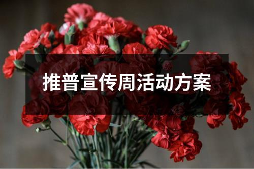 推普宣傳周活動方案