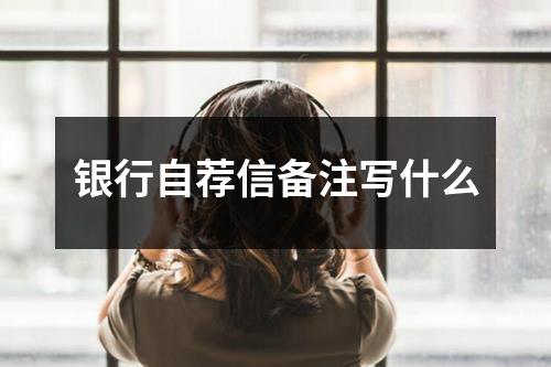 銀行自薦信備注寫什么