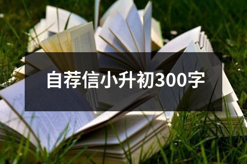 自薦信小升初300字