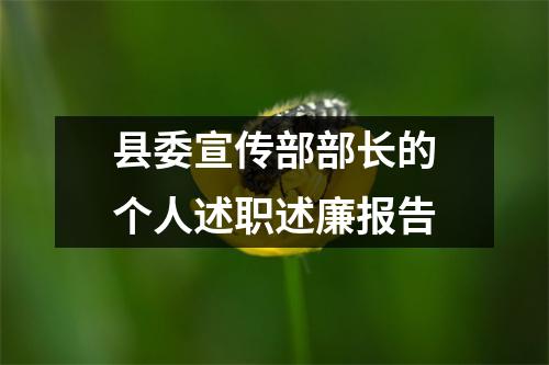 縣委宣傳部部長的個人述職述廉報告