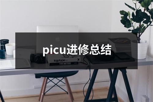 picu進修總結