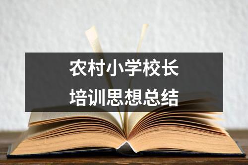 農(nóng)村小學(xué)校長(zhǎng)培訓(xùn)思想總結(jié)