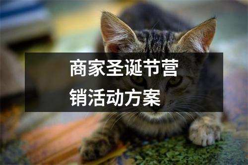 商家圣誕節營銷活動方案