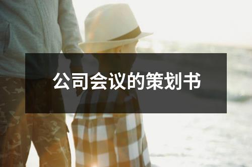 公司會(huì)議的策劃書(shū)