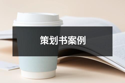 策劃書案例