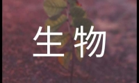 關(guān)于高二生物學(xué)期工作計劃（通用11篇）大全