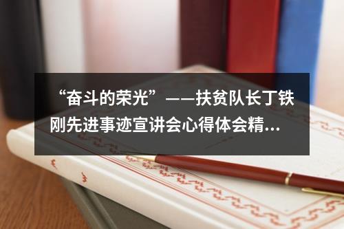 “奮斗的榮光”——扶貧隊長丁鐵剛先進事跡宣講會心得體會精選