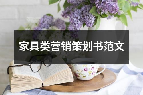 家具類營(yíng)銷策劃書范文