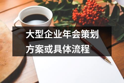 大型企業(yè)年會策劃方案或具體流程