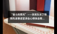 關(guān)于“奮斗的榮光”——扶貧隊長丁鐵剛先進事跡宣講會心得體會精選