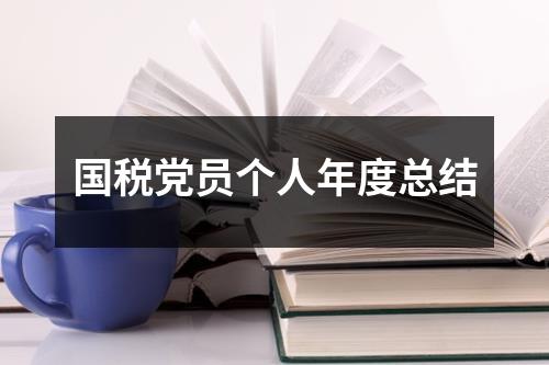 國稅黨員個人年度總結