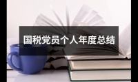 關于國稅黨員個人年度總結