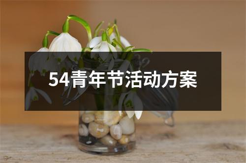 54青年節活動方案