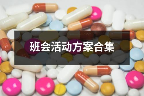 班會活動方案合集