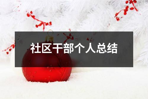 社區(qū)干部個(gè)人總結(jié)