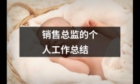 關于銷售總監的個人工作總結