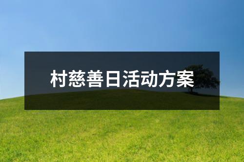 村慈善日活動方案