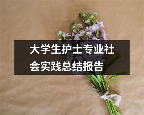 大學(xué)生護(hù)士專業(yè)社會(huì)實(shí)踐總結(jié)報(bào)告