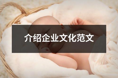 介紹企業文化范文