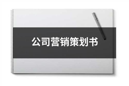 公司營銷策劃書