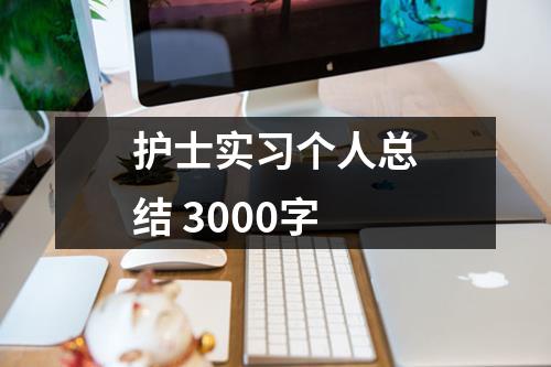 護(hù)士實(shí)習(xí)個(gè)人總結(jié) 3000字