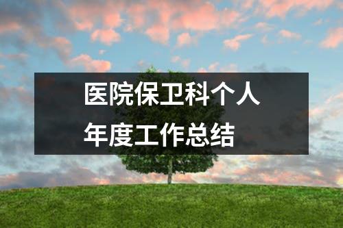 醫院保衛科個人年度工作總結