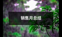 關于銷售月總結