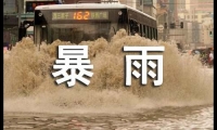 關于2024關于預防暴雨的通知（精選10篇）大全