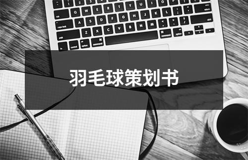 羽毛球策劃書