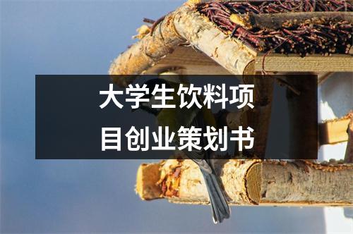 大學(xué)生飲料項(xiàng)目創(chuàng)業(yè)策劃書