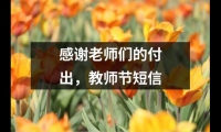 關于感謝老師們的付出，教師節短信（共13篇）