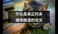 關于什么是真正的多媒體報道的論文（集錦7篇）