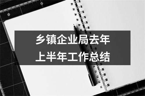 鄉鎮企業局去年上半年工作總結