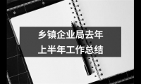 關于鄉鎮企業局去年上半年工作總結（共17篇）