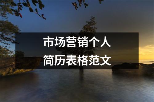 市場(chǎng)營銷個(gè)人簡(jiǎn)歷表格范文