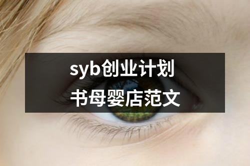 syb創業計劃書母嬰店范文