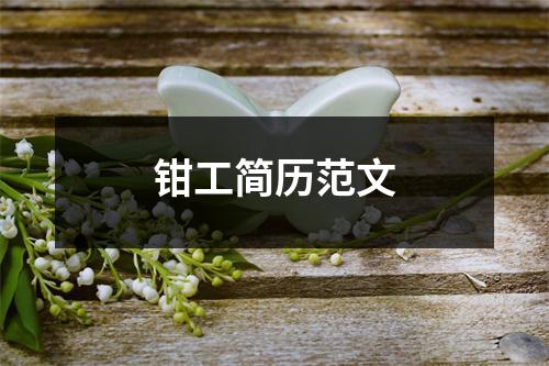 鉗工簡歷范文