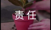 關于房屋租賃安全責任書范本（通用12篇）大全