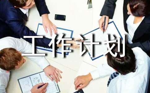 軟件企業年度工作計劃（通用10篇）