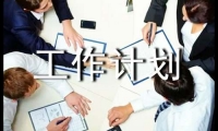 關于軟件企業年度工作計劃（通用10篇）大全