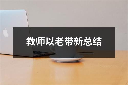 教師以老帶新總結