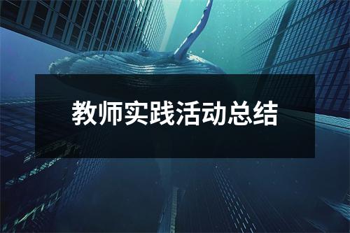 教師實踐活動總結