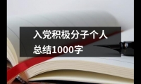 關于入黨積極分子個人總結1000字