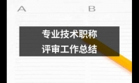 關于專業技術職稱評審工作總結