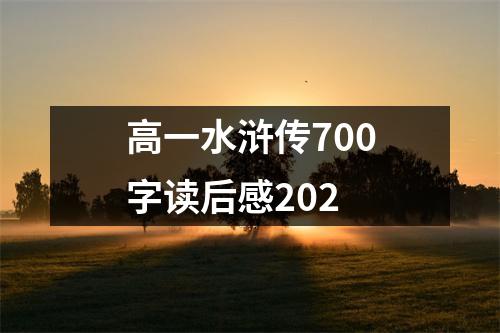 高一水滸傳700字讀后感202