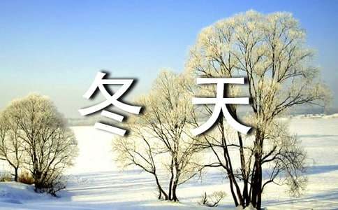 【合集】冬天的周記15篇