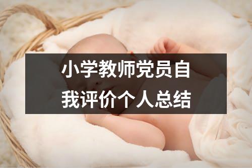 小學教師黨員自我評價個人總結