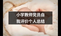 關于小學教師黨員自我評價個人總結