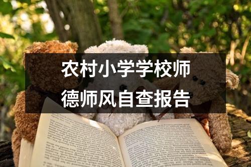 農村小學學校師德師風自查報告