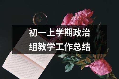 初一上學(xué)期政治組教學(xué)工作總結(jié)